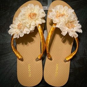 Golden Seashells Embellished Flip Flops